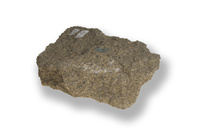 M 01847
<br/>
<br/>
<em></em>
